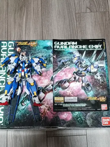 아발란체 엑시아 돌진 MG