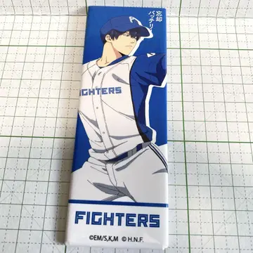 망각 배터리 청봉하류화 캔뱃지