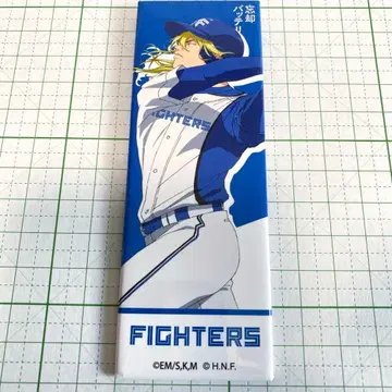 망각 배터리 토도 아오이 캔뱃지