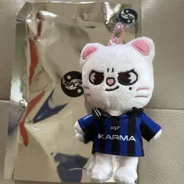 stray kids KARMA skzoo ver 지니레트 현진