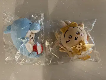 치이카와 (먼작귀) 마법 토끼 돌고래 수족관