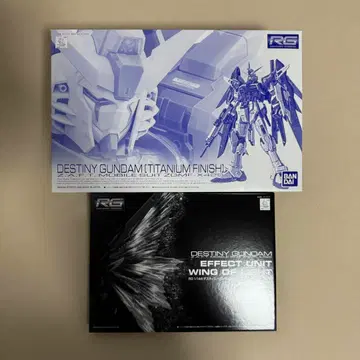 RG 1/144 데스티니 건담 [티타늄 피니쉬] 빛의 날개 세트