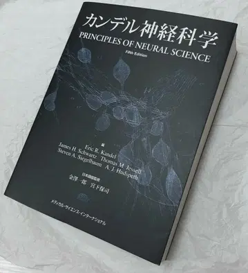칸델 신경과학