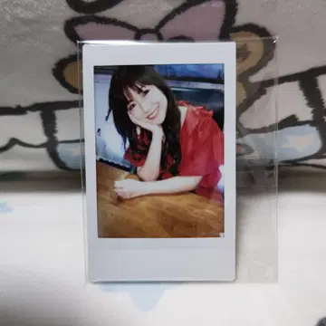시마타니 히토미 폴라로이드