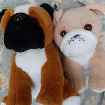 복서견 봉제 인형 약 25cm