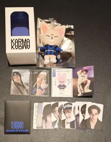 StrayKids 아이엔 포토카드 스키즈 KARMA SKZOO ver