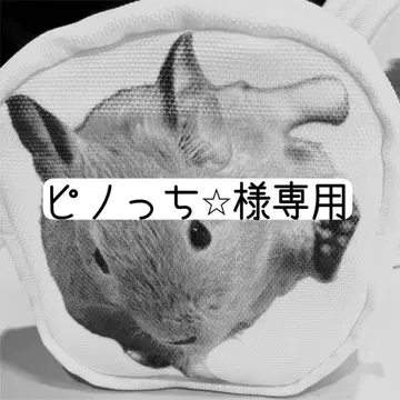 오더 파우치