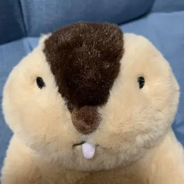마모트의 마모토토 컴팩트 점보 JB.T(특) 22cm 하마모토