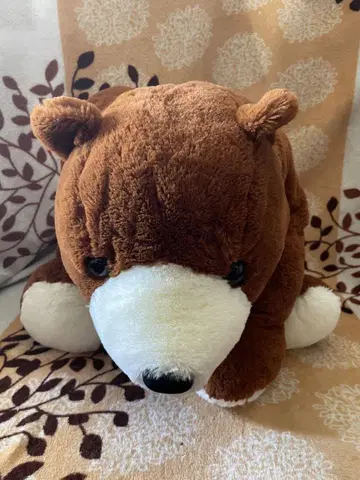 축 늘어진 곰돌이 봉제 인형