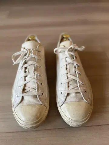 문스타 SHOES LIKE POTTERY/LOW 화이트