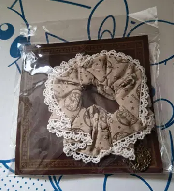 이브이 컬렉션 스크런치