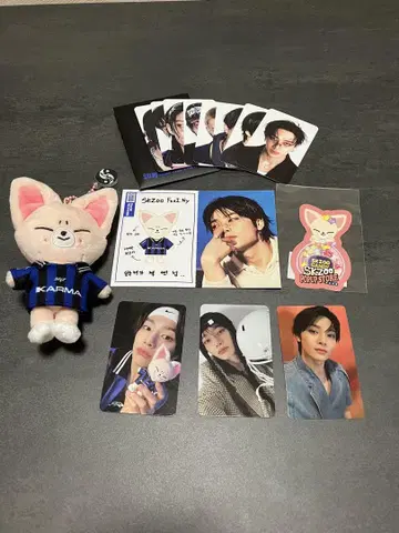 스키즈 Stray kids karma skzoo 폭시니 아이엔