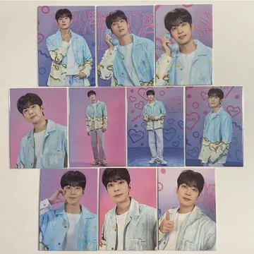 SEVENTEEN 원우 LOVE 랜덤 트레이딩 카드 10종 컴프