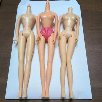 타카라 바디
