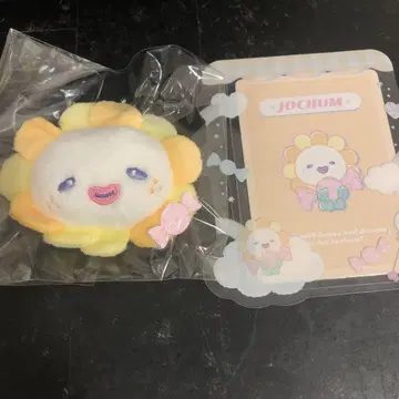 JOCHUM 캔디 bira 비라 시크릿 브로치 경질 케이스