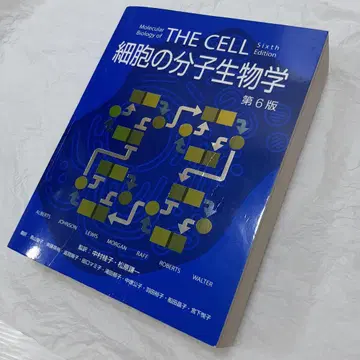 세포의 분자생물학