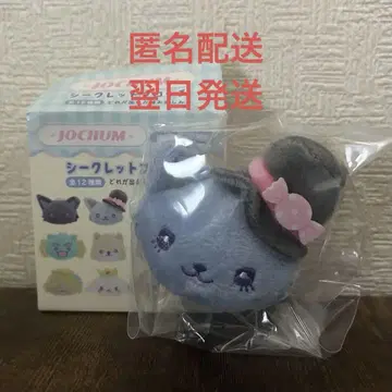 JOCHUM x 산리오 시크릿 브로치 레인 제오참