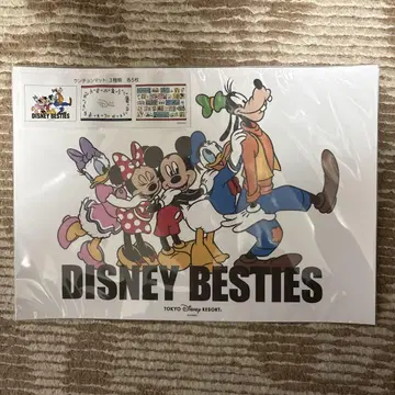 DISNEY BESTIES 클리어 파일 A4 사이즈