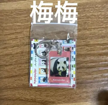 어드벤처 월드 팬더 매매 아크릴 키링