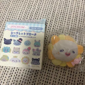 JOCHUM 시크릿 브로치 비라 bira