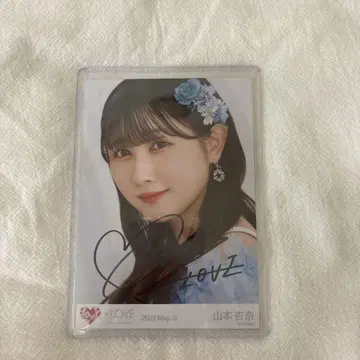 야마모토 안나 친필 요리