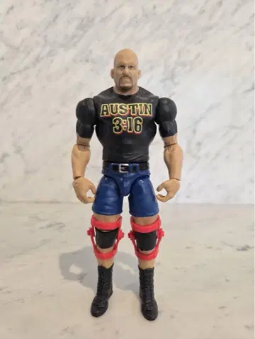 WWE 마텔 스톤콜드 프로레슬링 피규어