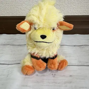 윈디 포켓몬 핏 봉제 인형