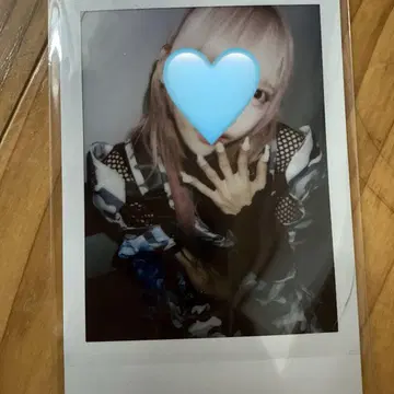 러브시크 하야테 폴라로이드
