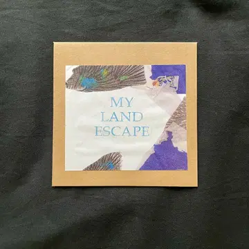 이케마 유코 회장 한정판 CD-R