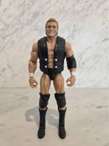 WWE WCW 마텔 시드 비셔스 프로레슬링 피규어