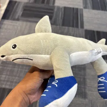 토라레로토라라