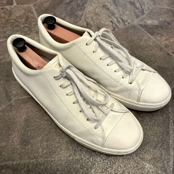 ALLSTAR COUPE 27cm 쿠페 GL OX 척테일러