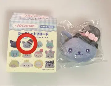 JOCHUM 제오참 시크릿 브로치 레인