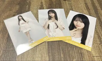 카와사키 사쿠라 썸머 자켓 컴프