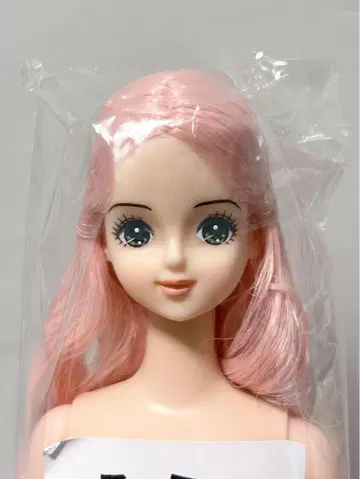 즐거운 인형 미라이