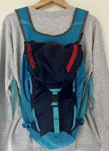 Patagonia 백팩