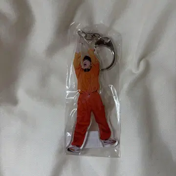 초특급 카시와기 하르 아크링 키링