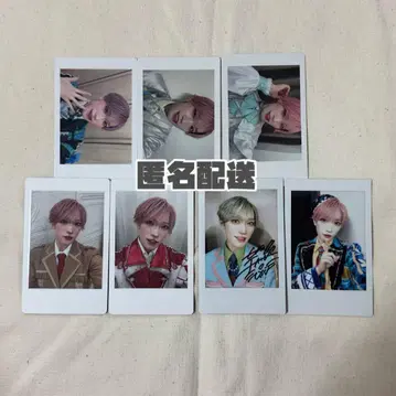 팬더 드래곤 타이거 하피카