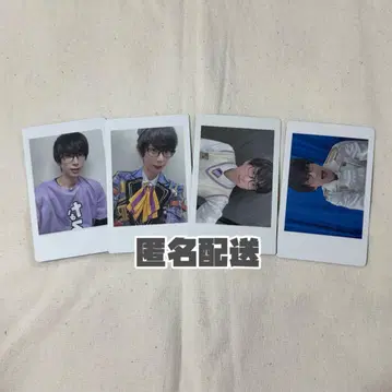 팬더 드래곤 나루키 하피카