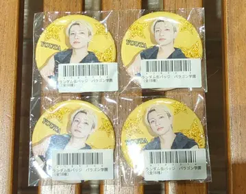 팬더드래곤 요타 파라곤학원 랜덤 캔뱃지 아이돌 의상