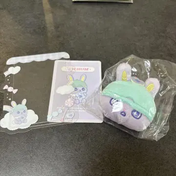 치맛 시크릿 로치 경질 카드 케이스