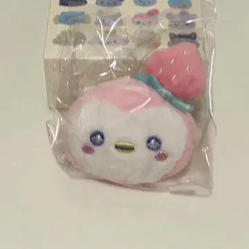 JOCHUM 제오참 시크릿 브로치 뽀뽀