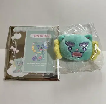 JOCHUM 야누카미 브로치 경화 케이스