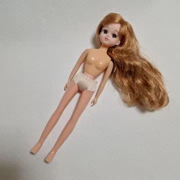 리카짱 인형 본체 금발