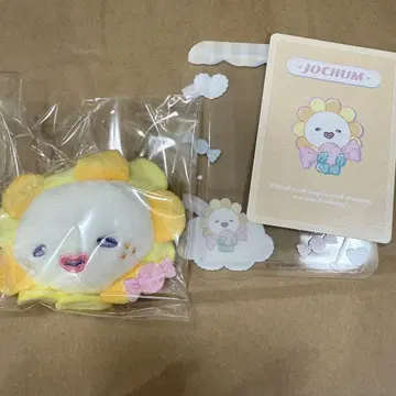 JOCHUM 브로치 & 경질 케이스 세트 비라