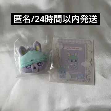 JOCHUM 치마타 브로치 경질 케이스 세트
