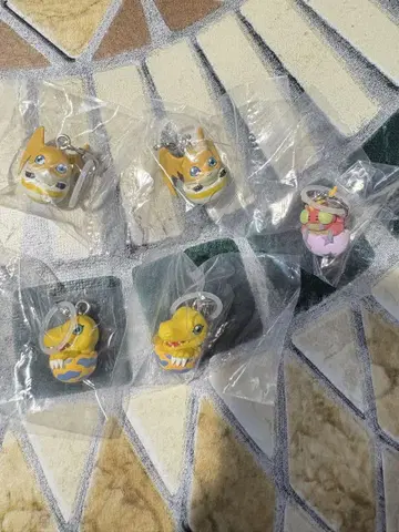 디지몬 메지루시 액세서리 5개 세트