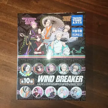 WINDBREAKER 윈브레 사이버 차이나 캔뱃지 BOX