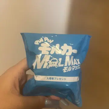 푸이푸이모루카 모루맥스 피규어