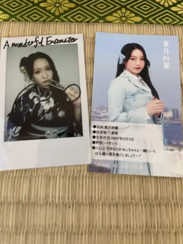 하즈키 사라(타카네노 나데시코) 유카타 폴라로이드